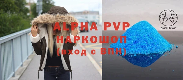 СК Алексин