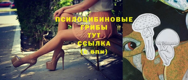СК Алексин