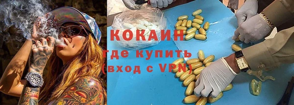 СК Алексин