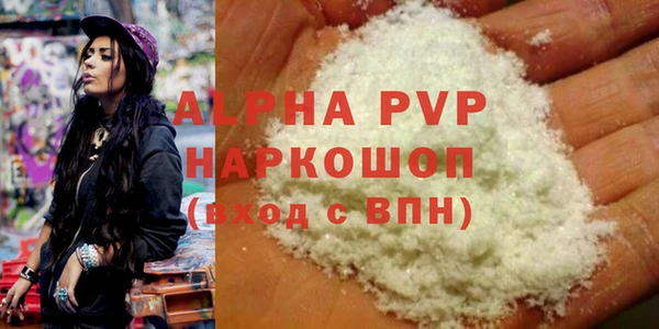 СК Алексин