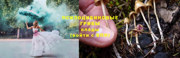 СК Алексин