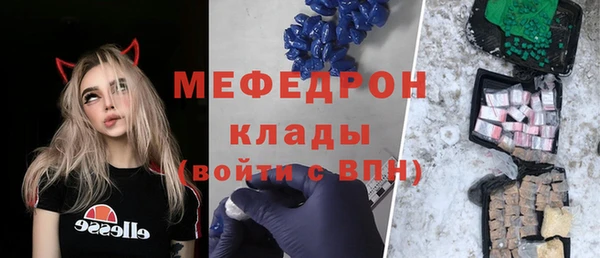 СК Алексин
